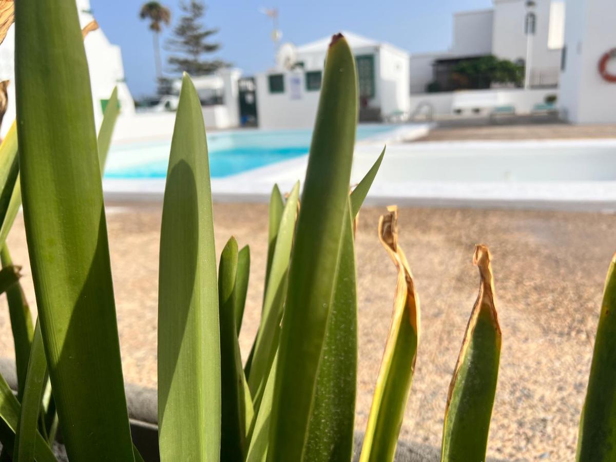 Las Mimosas Beach Sol Puerto del Carmen (Lanzarote) Exterior foto